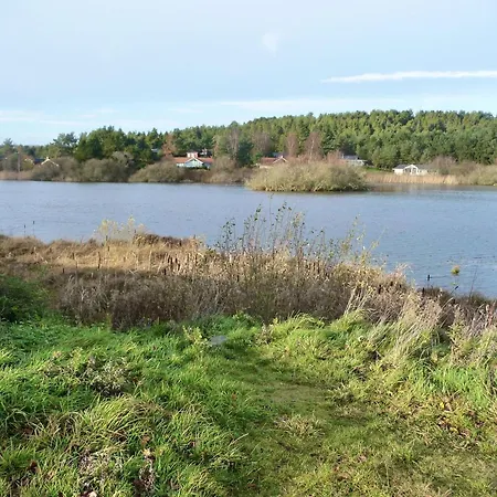 Ferienhaus-mit-grossen-fensterfronten-terrasse-und-viel-licht